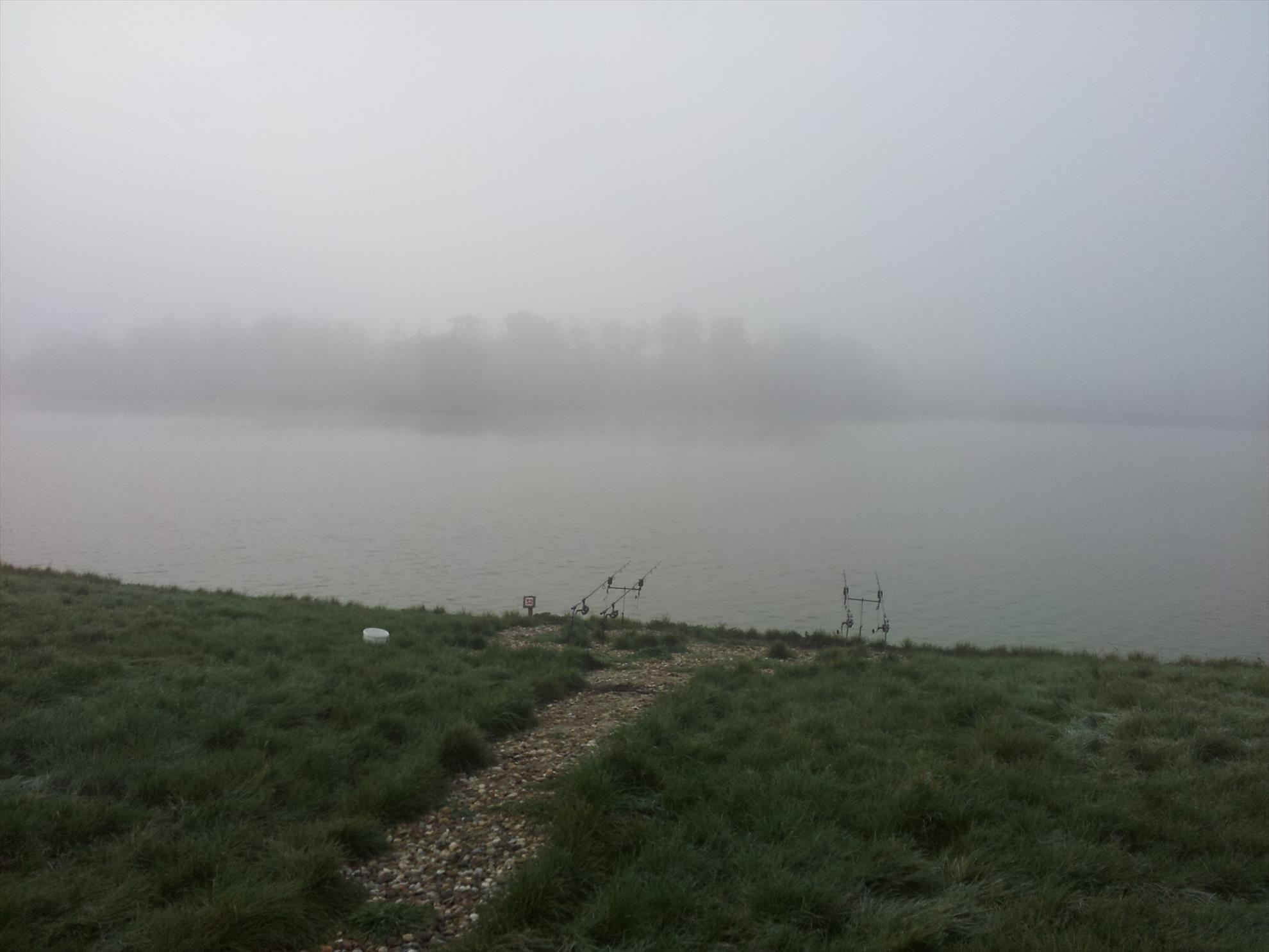 Hermes Peris 14 decembrie 2014 - ... dar este in asteptarea marii capture!!